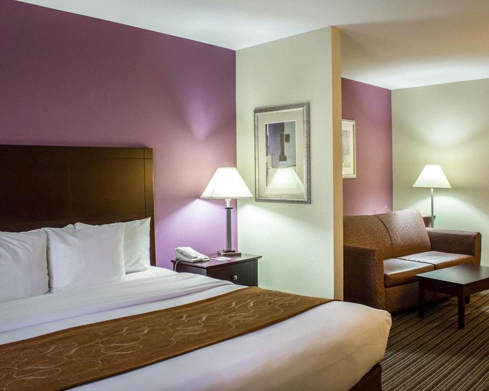 Comfort Suites Sanford photo 8
