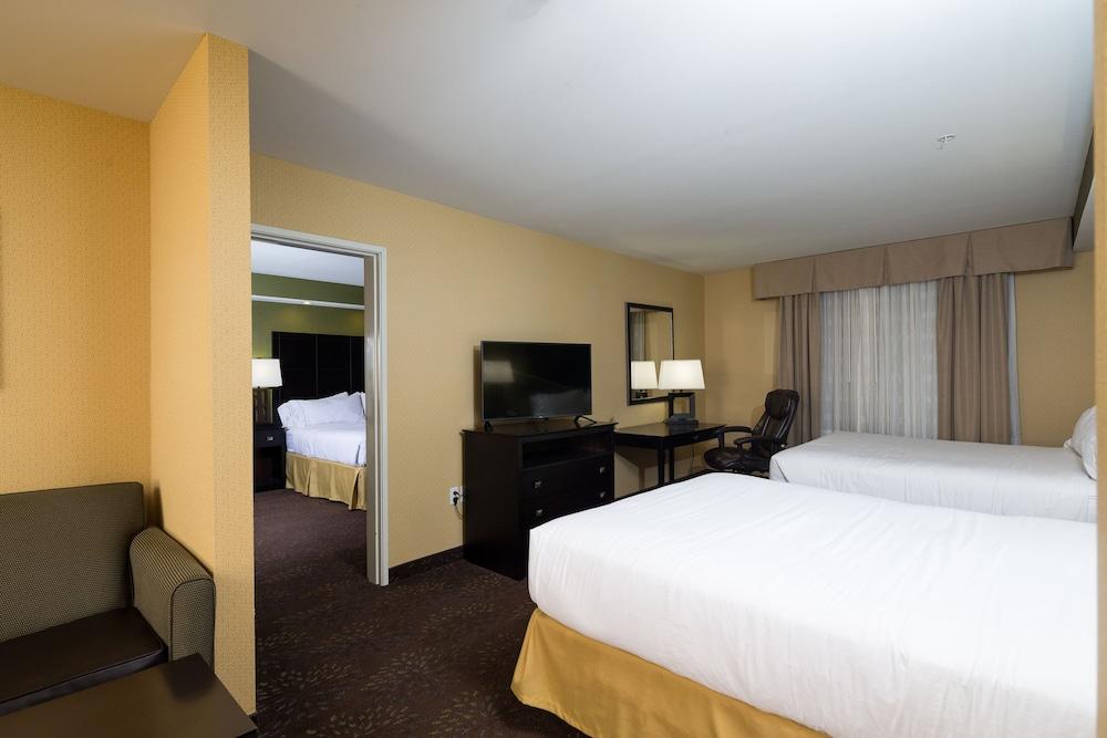 Holiday Inn Express & Suites Detroit North - Troy by IHG photo 11