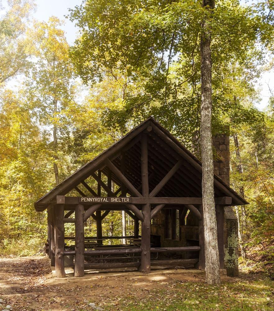 Pennyrile Forest State Resort Park photo 43