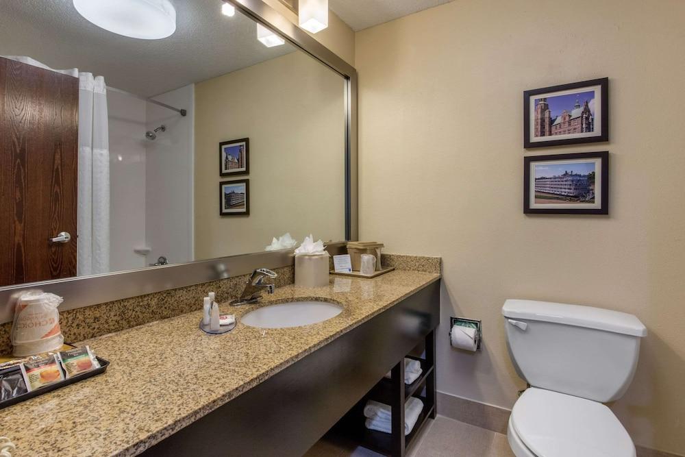 Comfort Inn Horn Lake - Southhaven photo 8