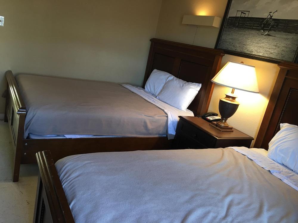 Reddy Inn and Suites photo 21