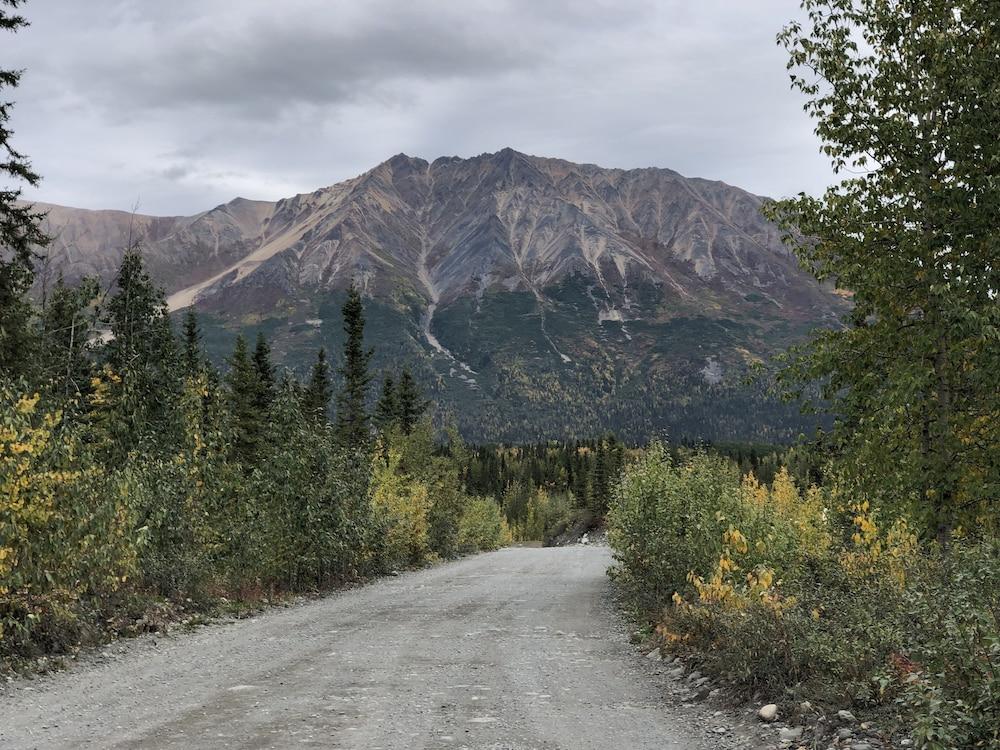 Wrangell Mountain Lodge photo 82