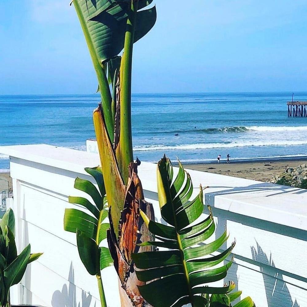 Pier View Suites photo 5