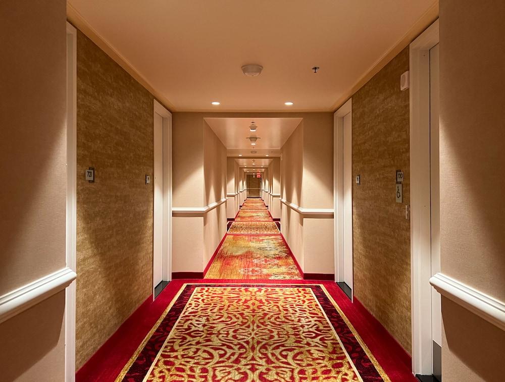 Ahern Hotel Las Vegas photo 31