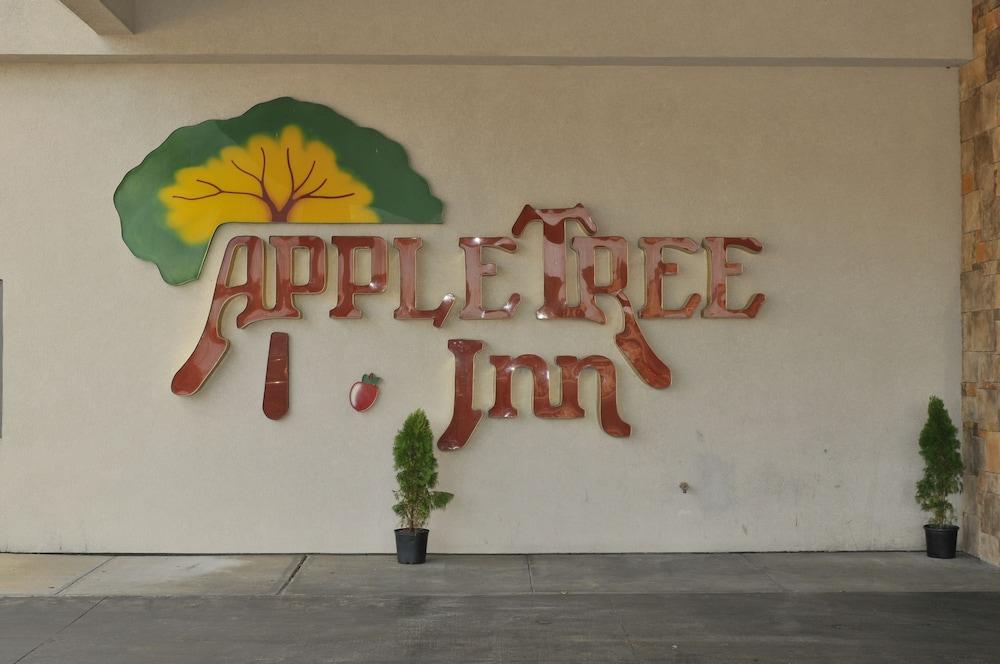 Apple Tree Inn and Suites photo 26