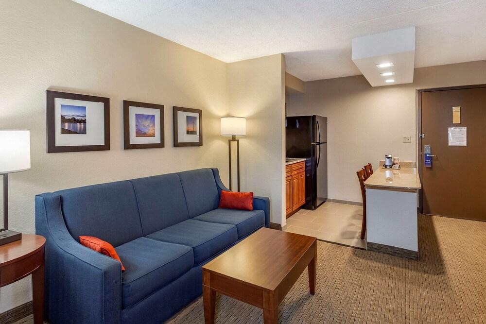 Comfort Inn & Suites Rochelle - DeKalb photo 71