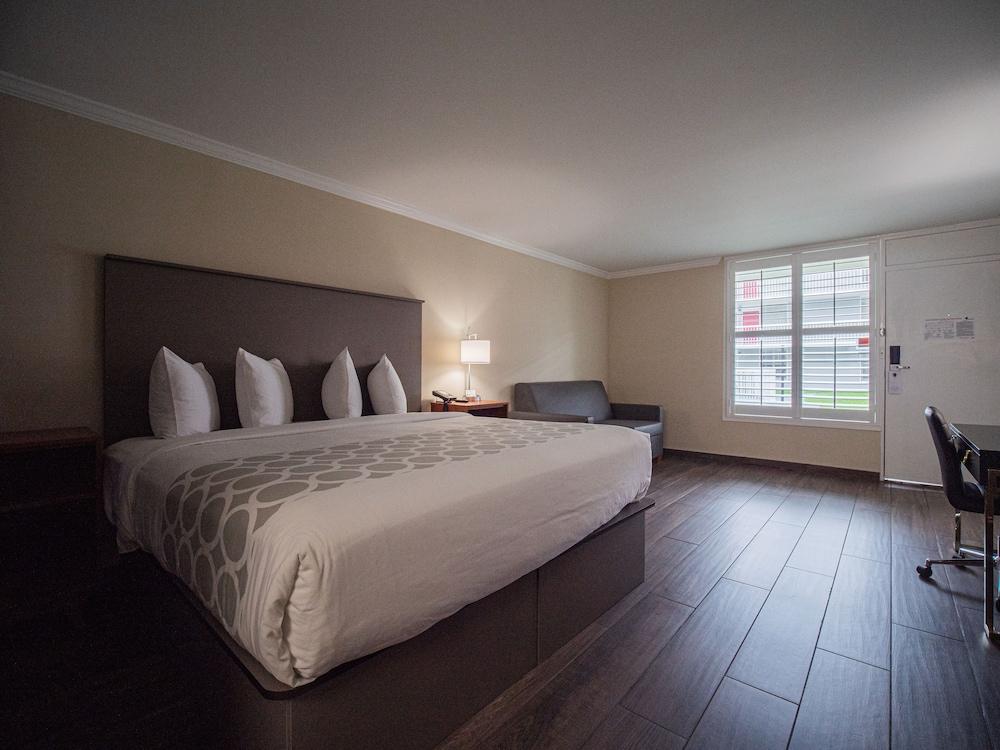 Equus Inn Ocala photo 17