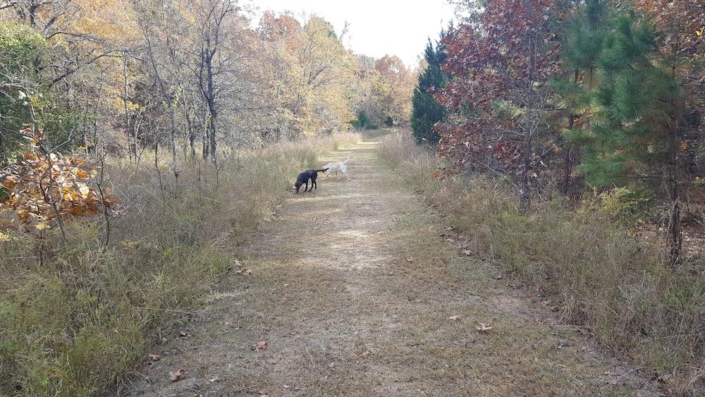 Lake Eufaula Inn photo 60