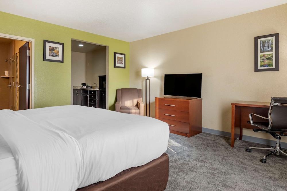 Comfort Inn Bentonville - Crystal Bridges photo 11