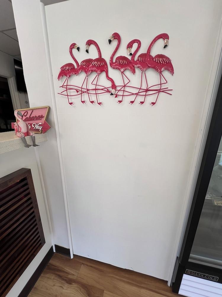 Flamingo Inn Beachfront photo 12
