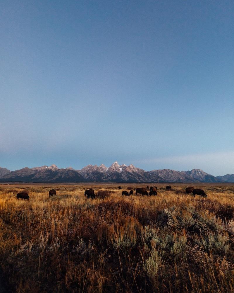 Teton Peaks Resort photo 34