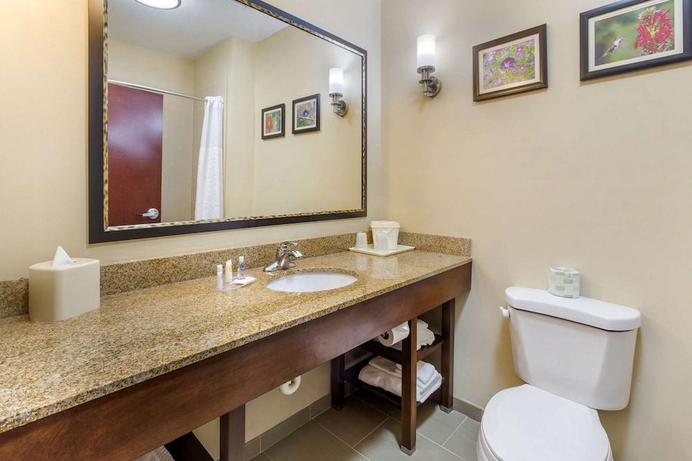 Comfort Suites Wilson I-95 photo 11