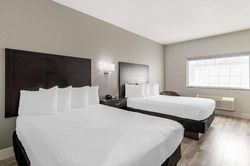 Best Western Texas City I-45 photo 10