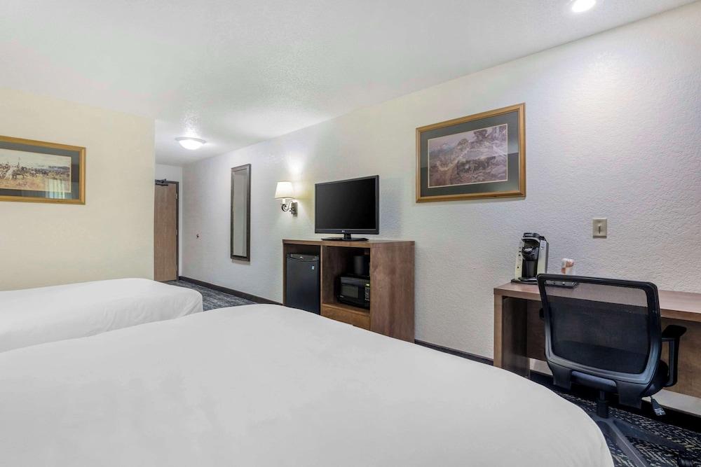 Comfort Inn & Suites Mt. Rushmore photo 8
