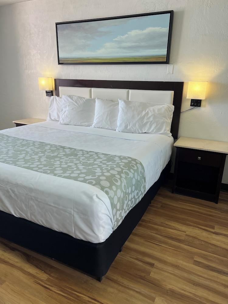 Flamingo Inn Beachfront photo 23