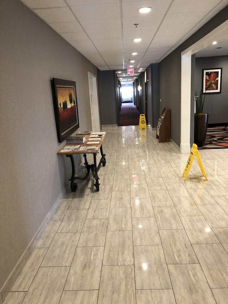 Comfort Inn & Suites Gatesville photo 11