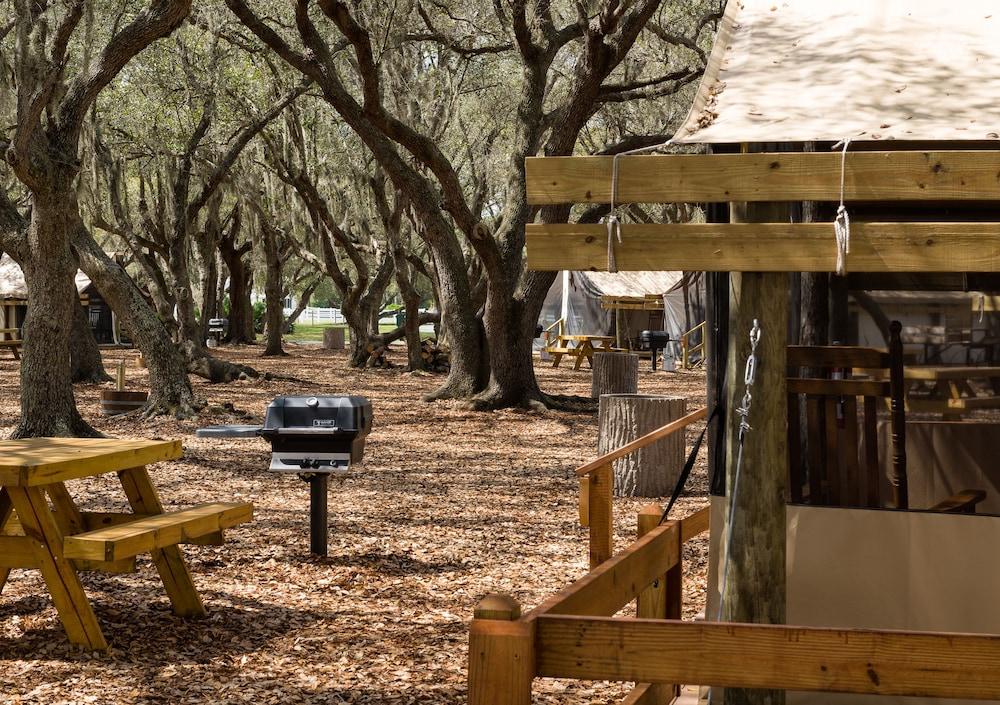 Westgate River Ranch Resort & Rodeo photo 65