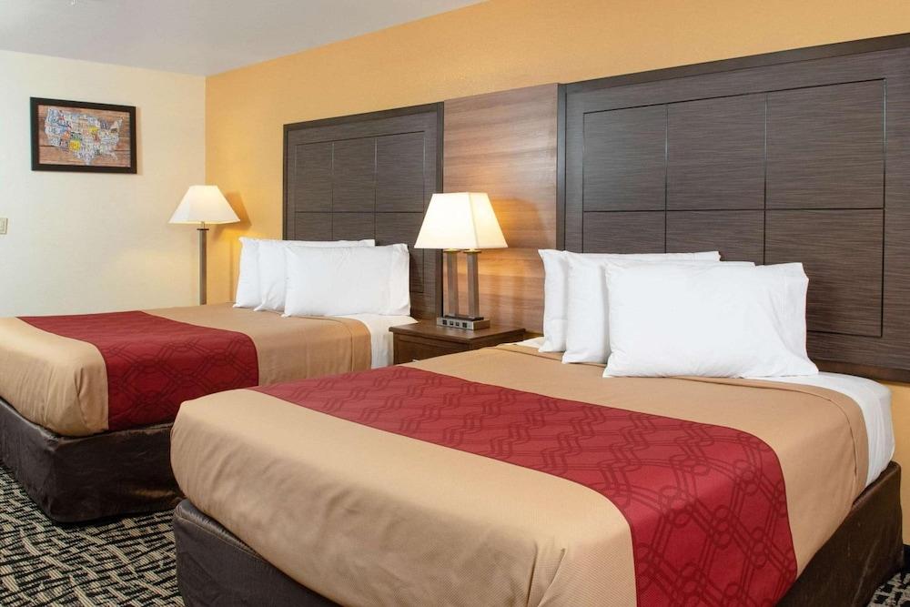 Executive Inn photo 20