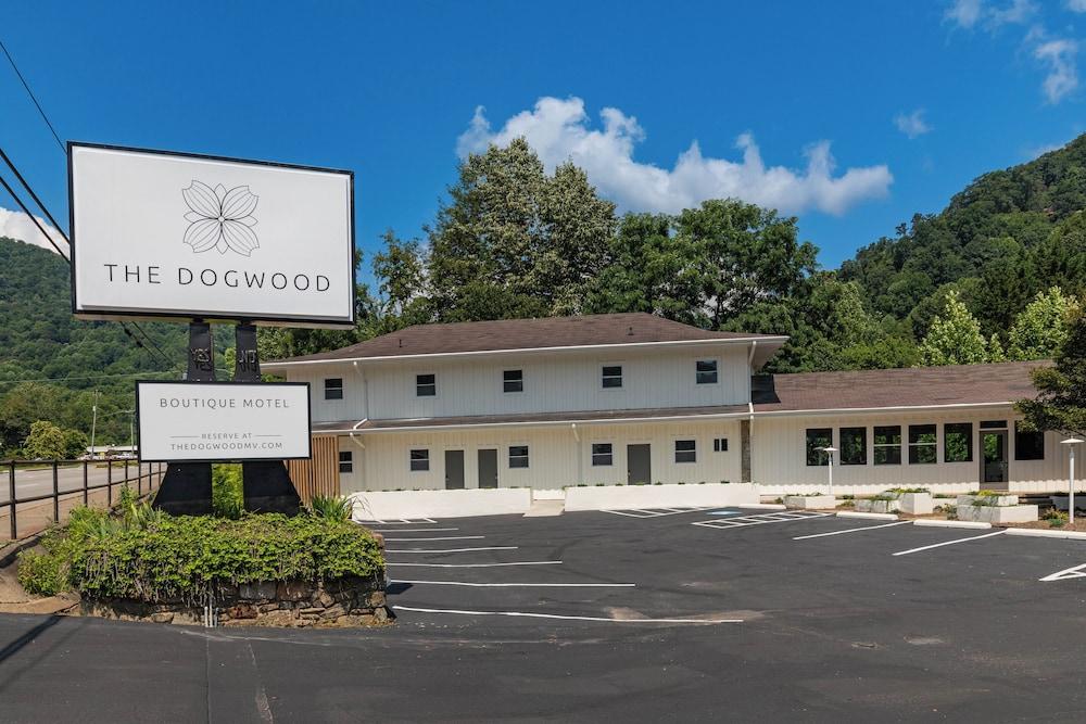 The Dogwood photo 37
