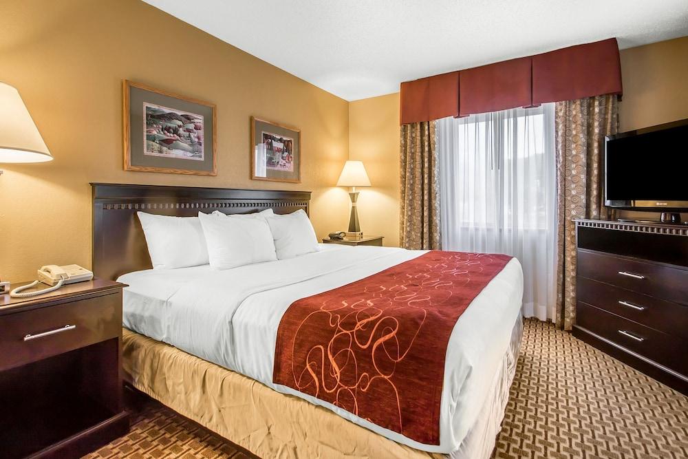 Comfort Suites Wisconsin Dells Area photo 5