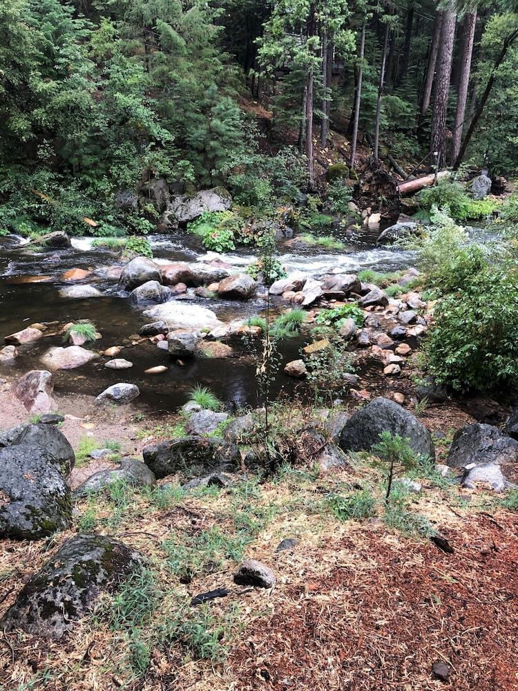 Sierra Inn on the River photo 8
