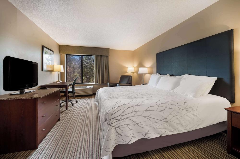 Best Western Park Oasis Inn photo 8