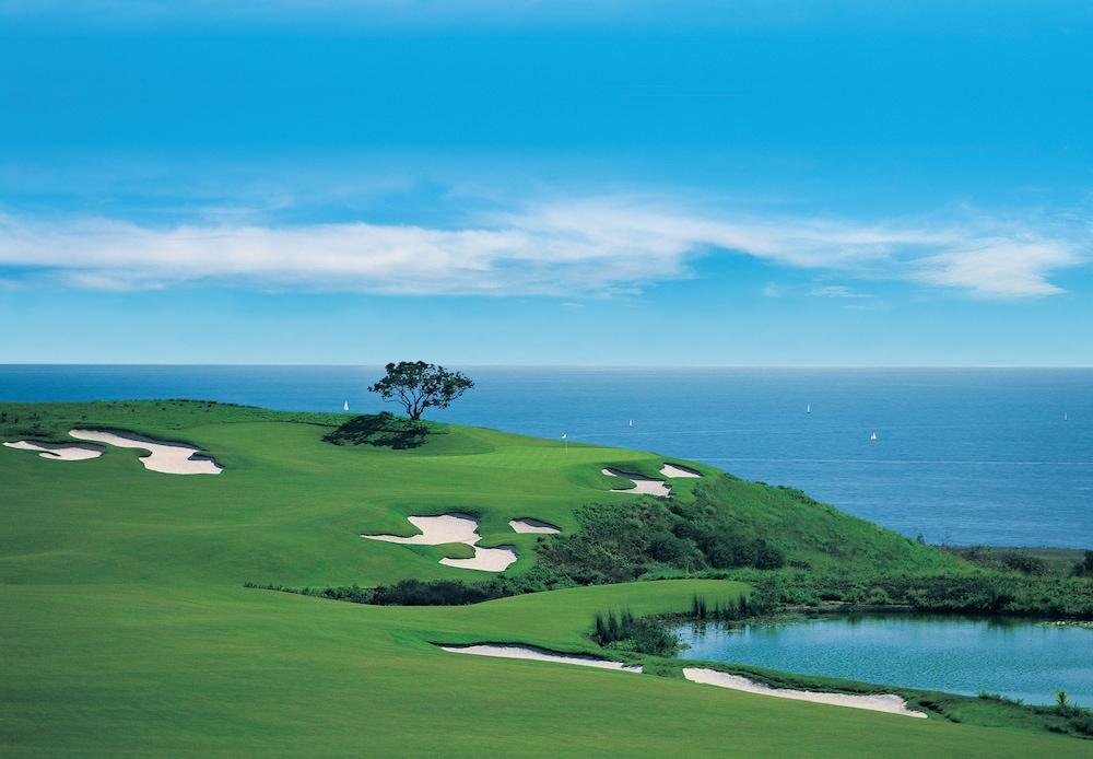 The Resort at Pelican Hill photo 60