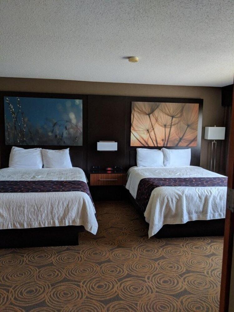 Royal River Casino and Hotel photo 12