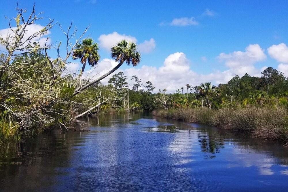 Steinhatchee River Inn photo 59