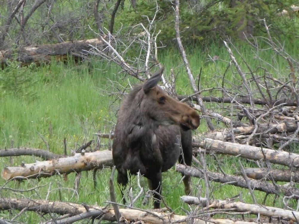 Stoney River Lodge photo 70
