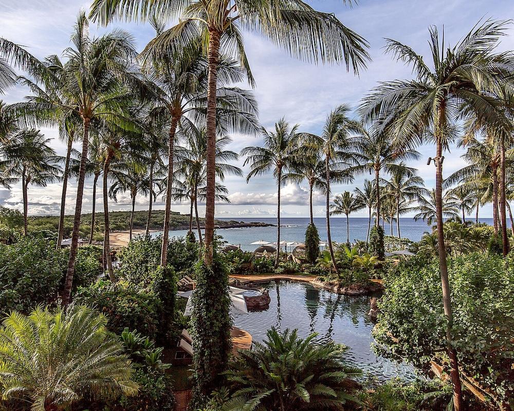 Four Seasons Resort Lanai photo 56