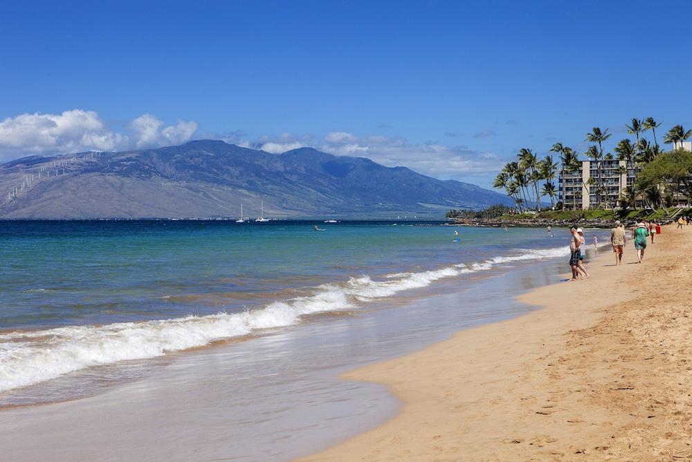 AEI at Maui Banyan photo 4