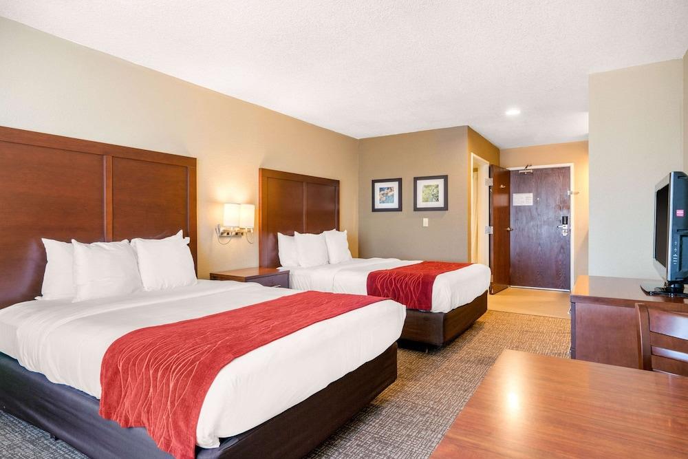 Comfort Inn Lathrop - Stockton Airport photo 3
