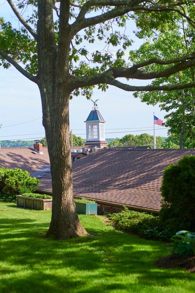 The Hampton Maid photo 79