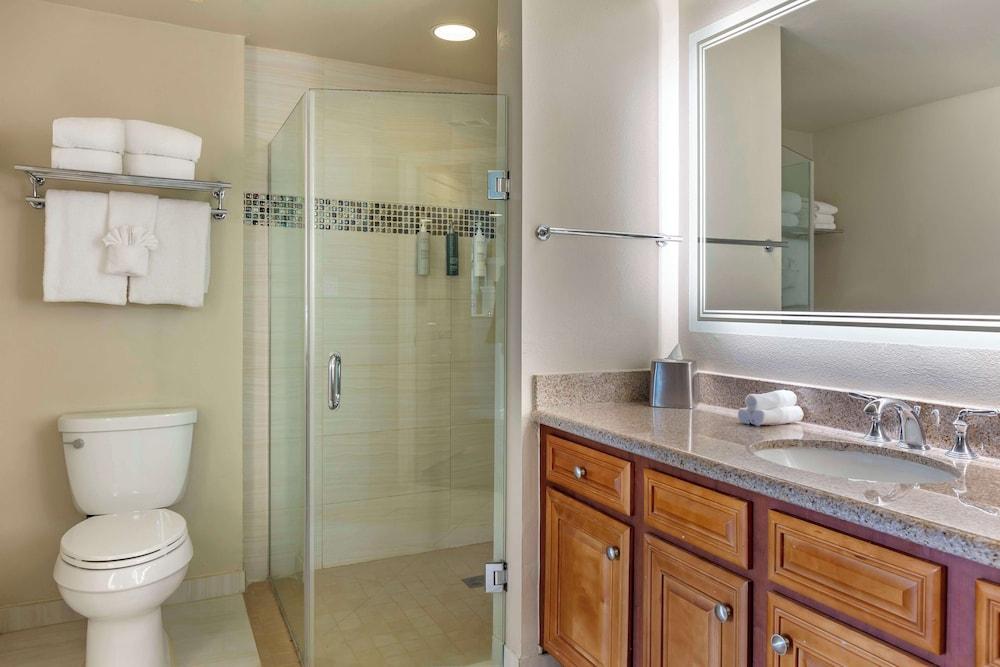 Hilton Grand Vacations Club SeaWorld® Orlando photo 41