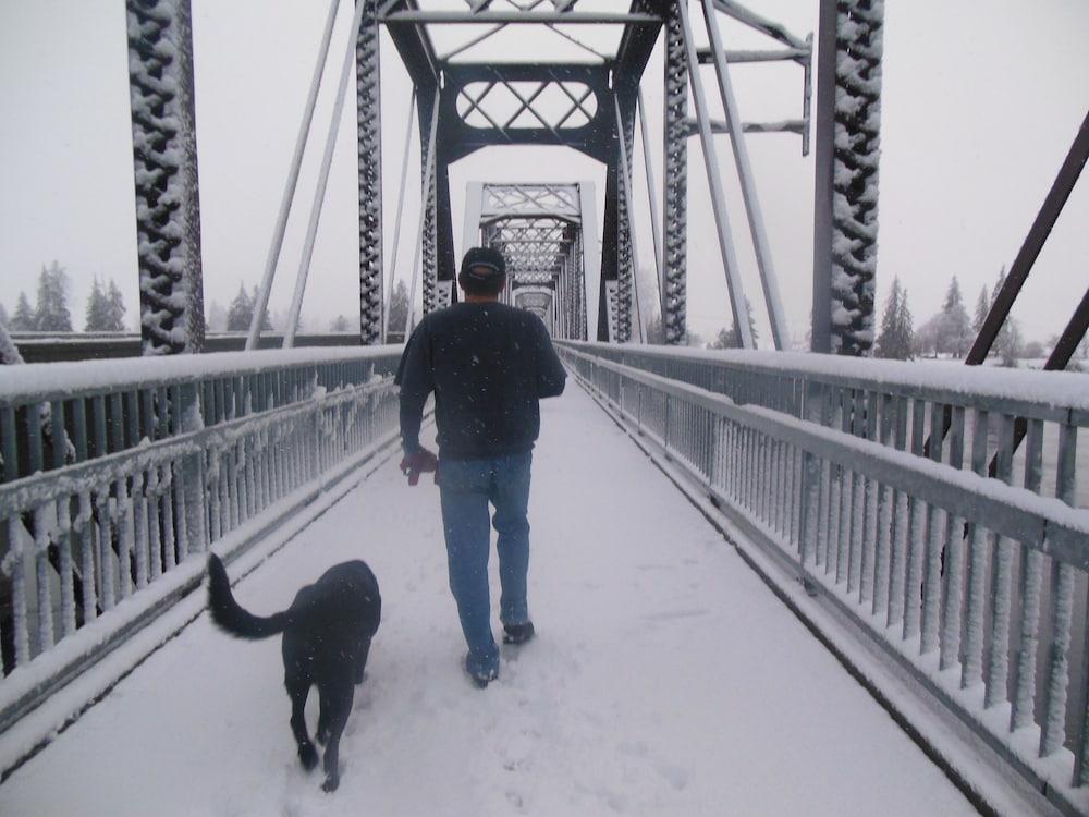 Clark Fork Lodge photo 21