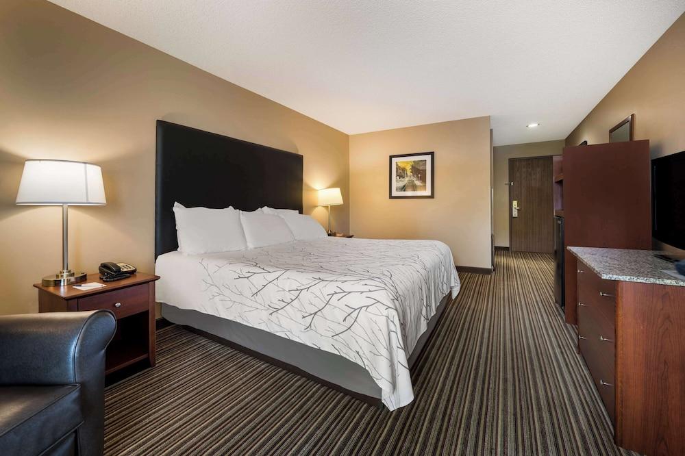 Best Western Park Oasis Inn photo 29