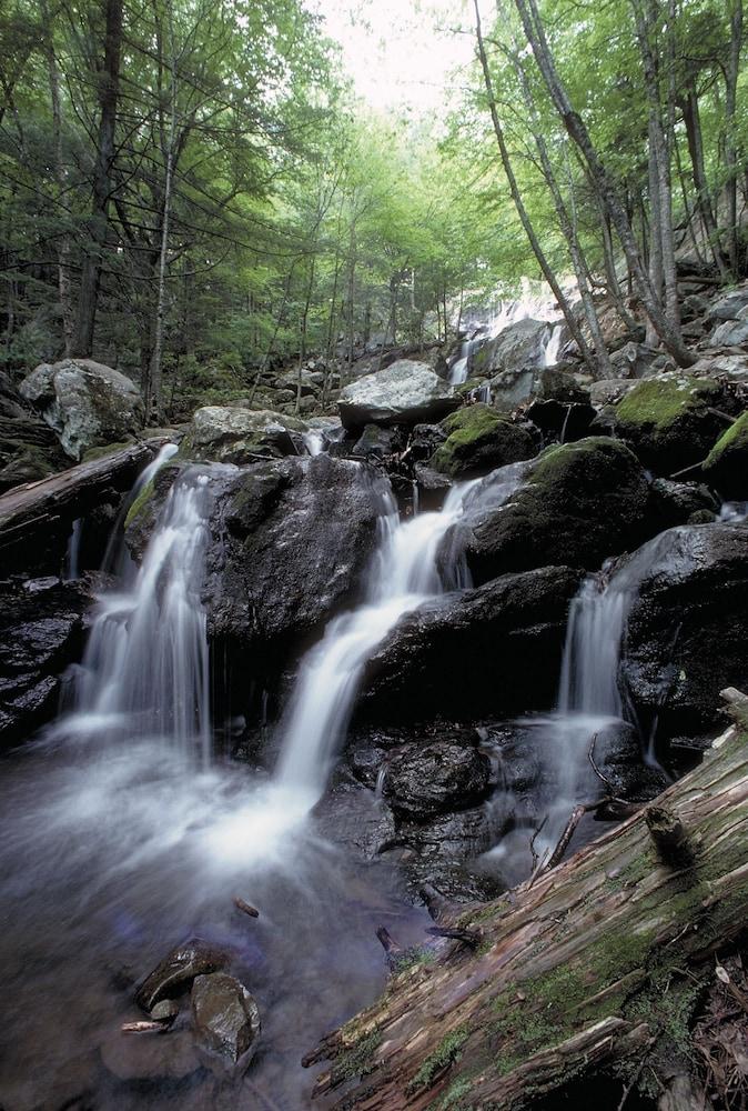 Skyland photo 41