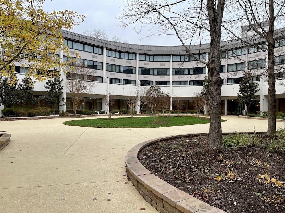 Sheraton Reston Hotel photo 40