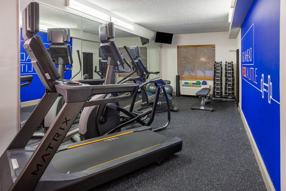 Holiday Inn Express Hotel & Suites New Tampa I-75 by IHG photo 11