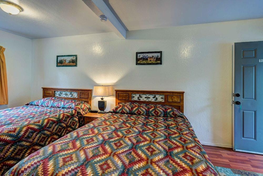 Lake Shasta Lodge photo 17