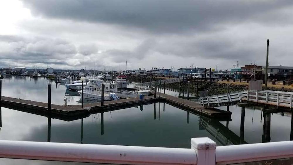 Islander Westport photo 66