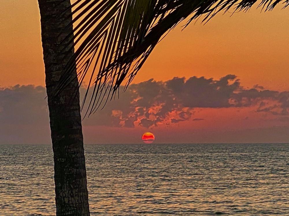 Manasota Key Resort photo 96