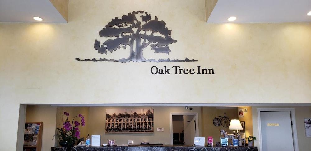 Oak Tree Inn photo 41
