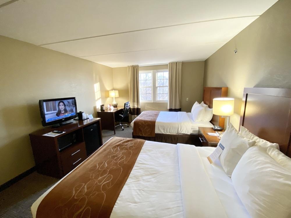 Comfort Suites Near Casinos Norwich-Uncasville CT photo 10