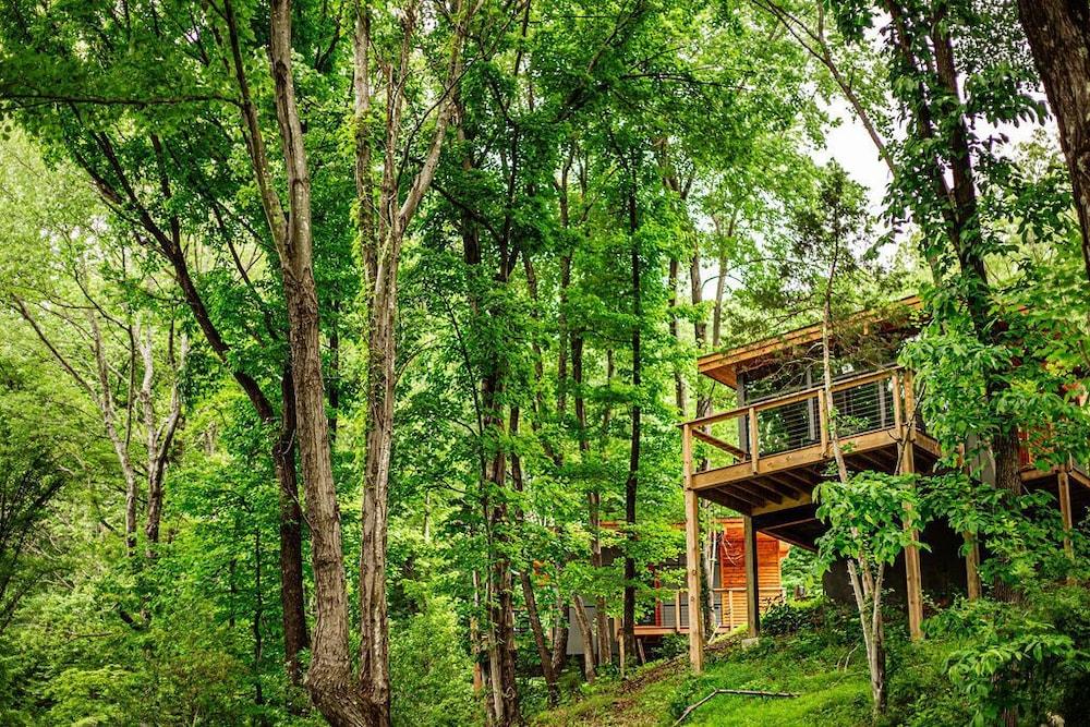 Piedmont Grove photo 41