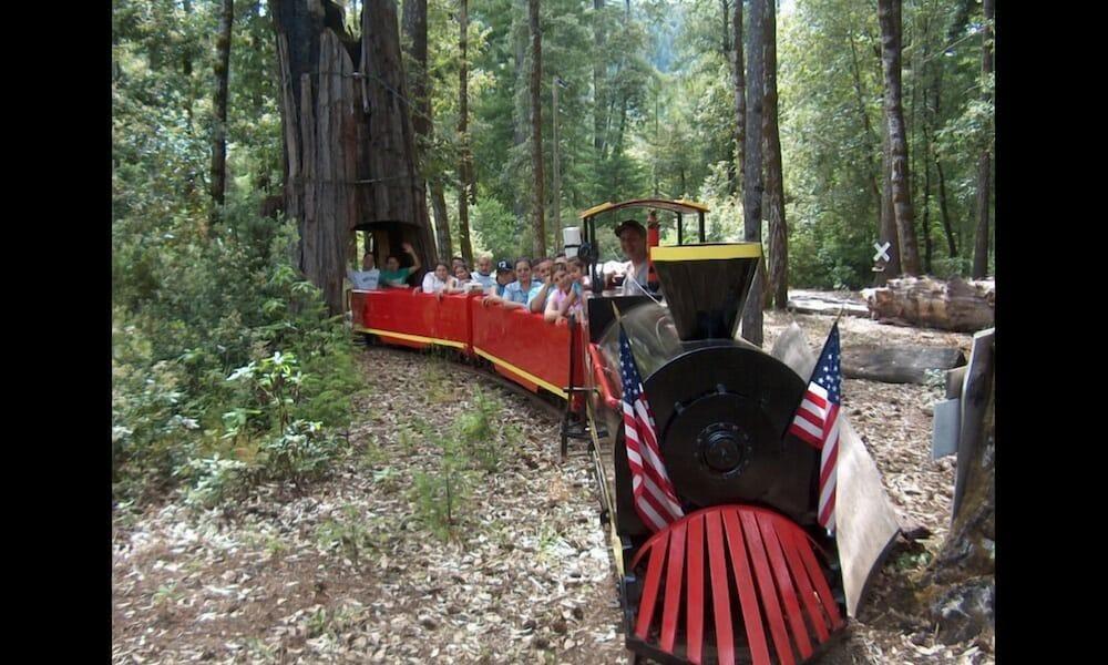 Redwoods River Resort photo 85
