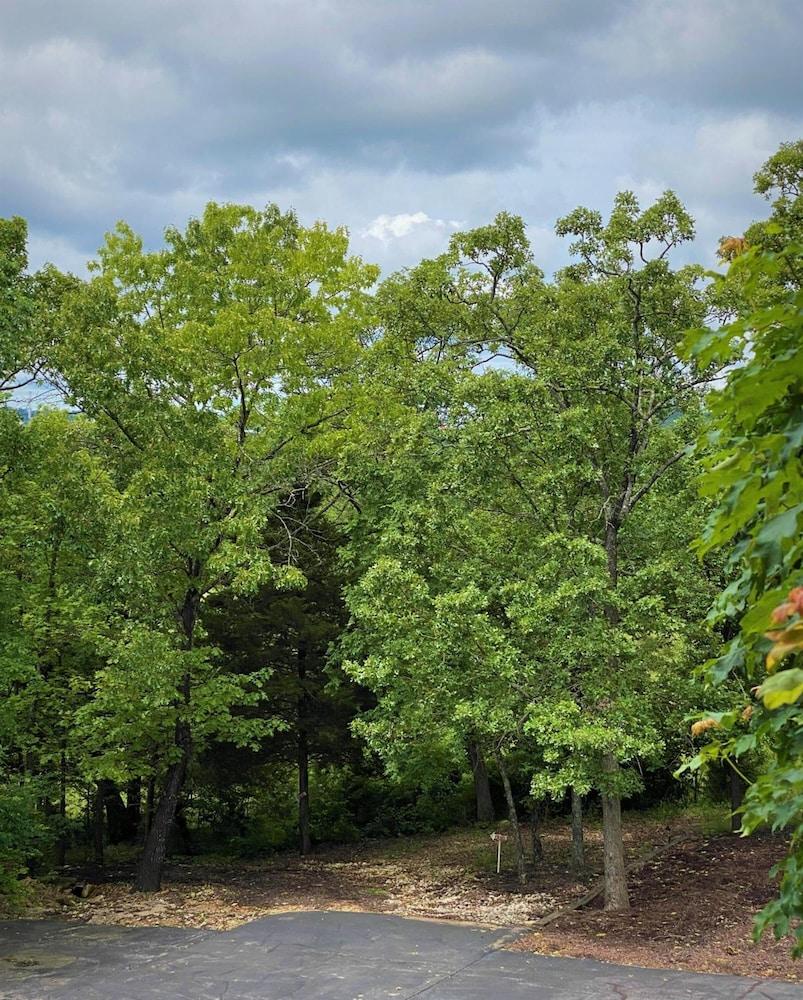 The Park at Foxborough Resort photo 34