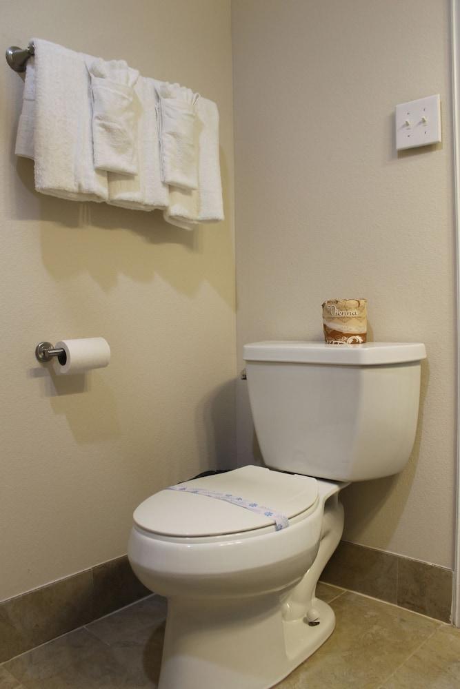 Harbour Inn photo 16