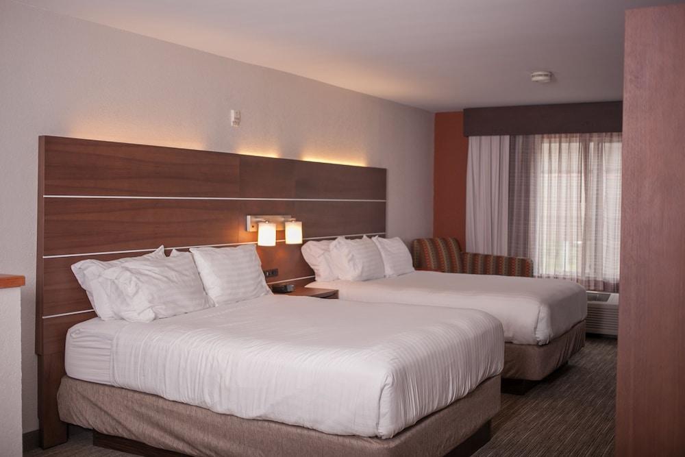 Holiday Inn Express Hotel & Suites by IHG photo 8